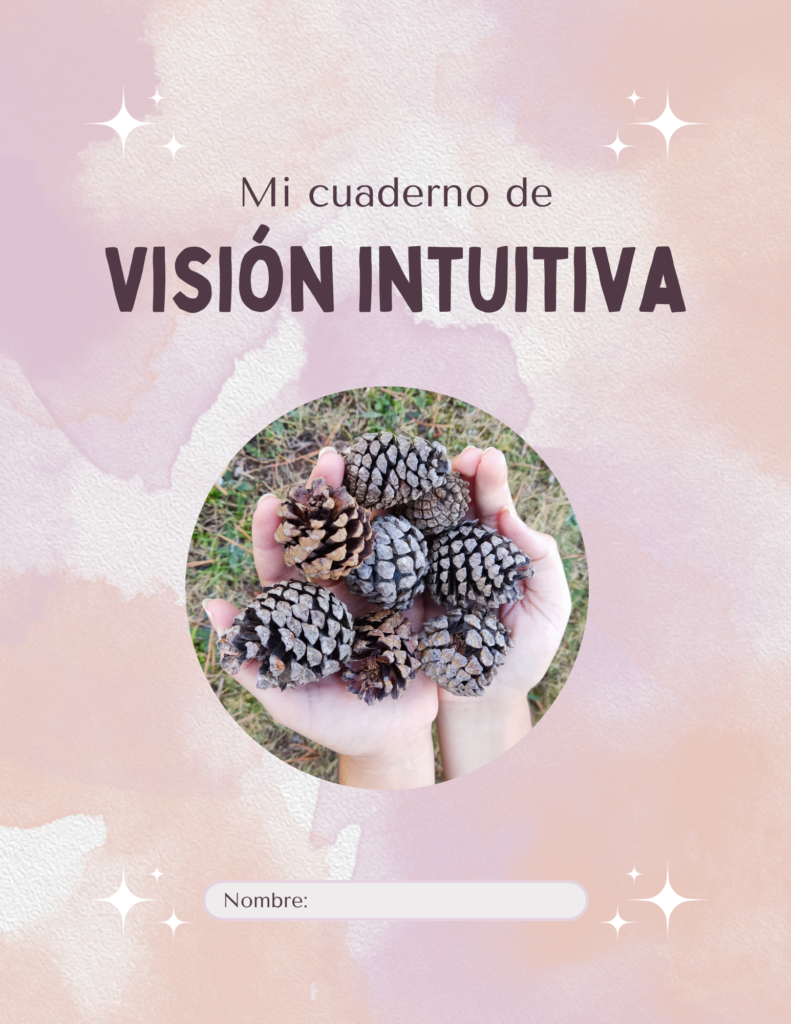 cuaderno ejercicios vision intuitiva